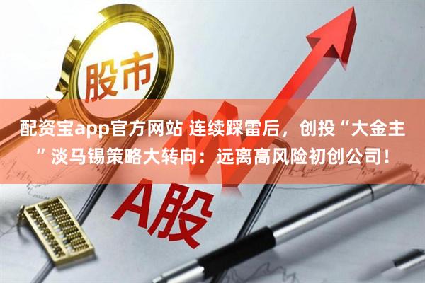配资宝app官方网站 连续踩雷后，创投“大金主”淡马锡策略大转向：远离高风险初创公司！
