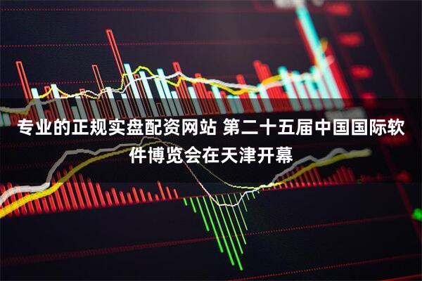 专业的正规实盘配资网站 第二十五届中国国际软件博览会在天津开幕